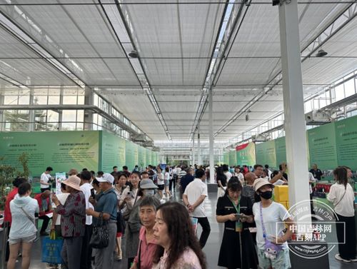 農博會之旅 探訪科技小院，體驗農業新質生產力與教育科技的融合